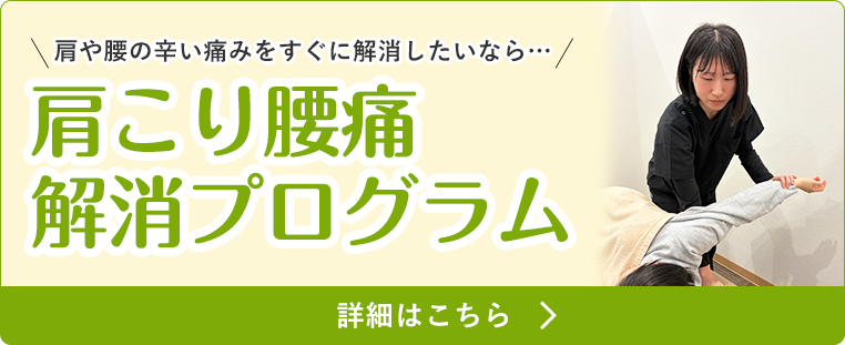 肩こり腰痛解消プログラム
